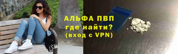 гашик Алексин