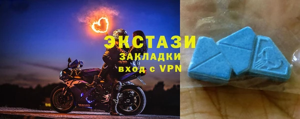 гашик Алексин