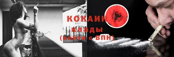 хмурый Алзамай