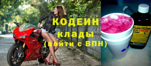 гашик Алексин
