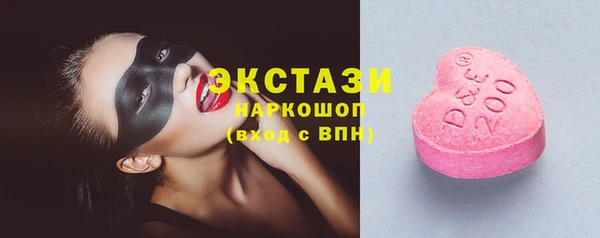 гашик Алексин