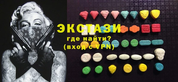 гашик Алексин