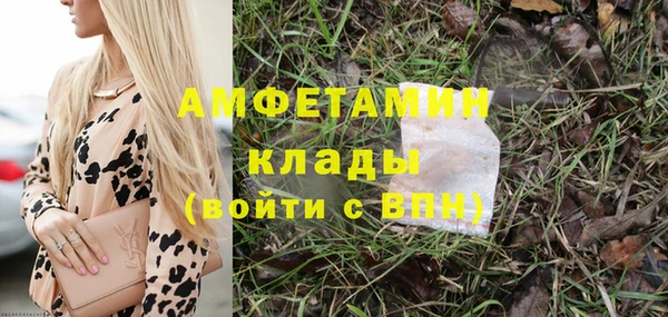 хмурый Алзамай