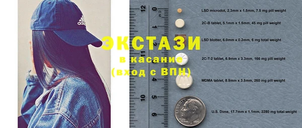 гашик Алексин