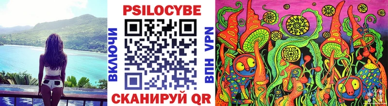 Галлюциногенные грибы Psilocybine cubensis  что такое   Ленинск 